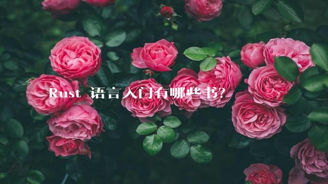 Rust 语言入门有哪些书？