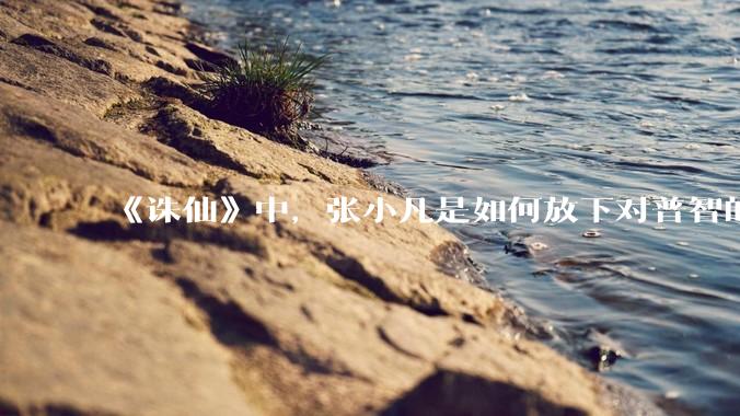 《诛仙》中，张小凡是如何放下对普智的恨意的？