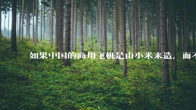 如果中国的商用飞机是由小米来造，而不是中国商飞，现在会是怎样的情况？