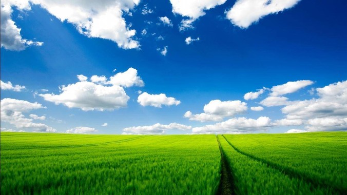 如果不能使用linux，只能选鸿蒙与windows，你会选哪个？
